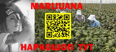 МДПВ Новозыбков