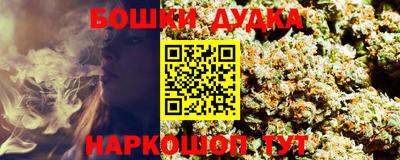 МДПВ Новозыбков