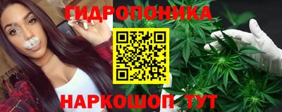 бошки Новокубанск