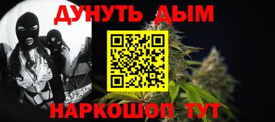 МДПВ Новозыбков