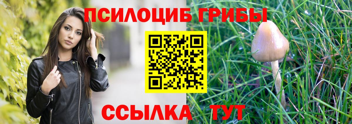 Симферополь  Псилоцибиновые грибы ЛСД  Вход с VPN 